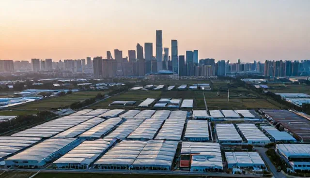宜昌seo在信息查询平台中的适用情况与限制